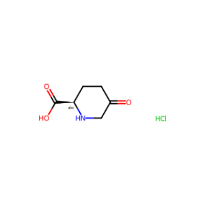 (R)-5-Oxopiperidine-2-carboxylic acid hydrochloride