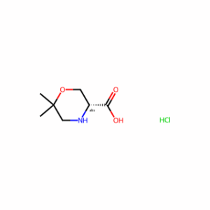 (R)-6,6-Dimethyl-morpholine-3-carboxylic acid hcl