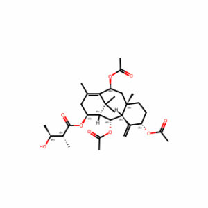 yunnanxane