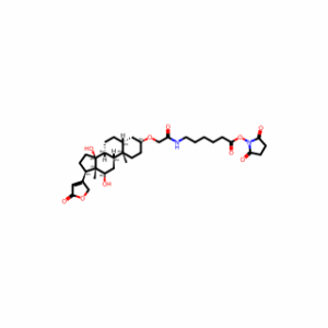 (3β,5β,12β)-3-[2-[[6-[(2,5-Dioxo-1-pyrrolidinyl)oxy]-6-oxohexyl]amino]-2-oxoethoxy]-12,14-dihydroxycard-20(22)-enolide