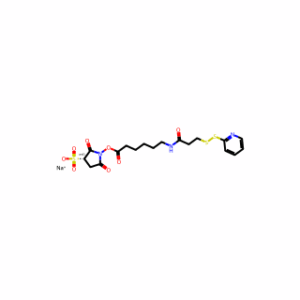 Sulphosuccinimidyl 6-[3-(2-pyridyldithio)propionamido]hexanoate
