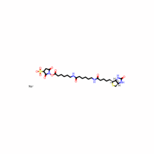 SULFO-NHS-LC-LC-BIOTIN