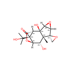 Isohyenanchin