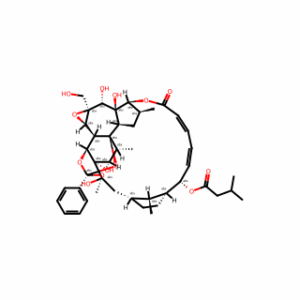 Trigothysoid N