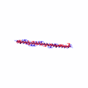 Urocortin (human)