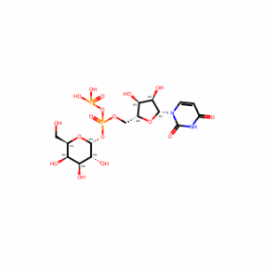 UDP-Galactose
