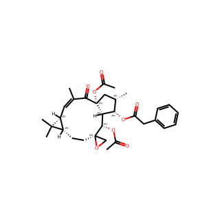Euphorbiasteroid