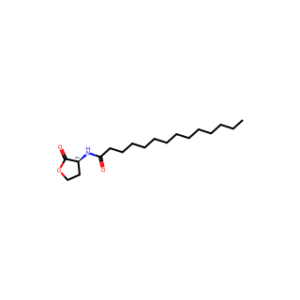 (S)-N-(2-Oxotetrahydrofuran-3-yl)tetradecanamide