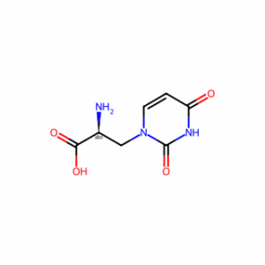 (2S)-2-amino-3-(2,4-dioxo-1,2,3,4-tetrahydropyrimidin-1-yl)propanoic acid
