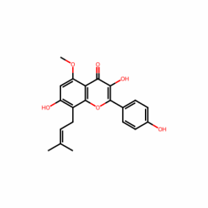 Sophoflavescenol