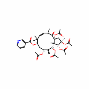 Jatrophane 1