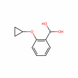 (2-Cyclopropoxyphenyl)boronic acid