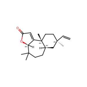 Fischeria A