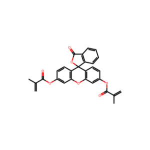 FLUORESCEIN O O′-DIMETHACRYLATE 95