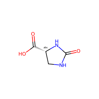 (R)-2-Oxoimidazolidine-4-carboxylic acid