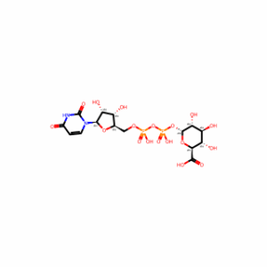 UDP-glucuronic acid
