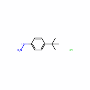(4-(tert-Butyl)phenyl)hydrazine hydrochloride(1:x)