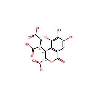 (S)-2-((3S,4S)-3-Carboxy-5,6,7-trihydroxy-1-oxoisochroman-4-yl)succinic acid