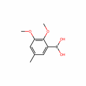 (2,3-Dimethoxy-5-methylphenyl)boronic acid