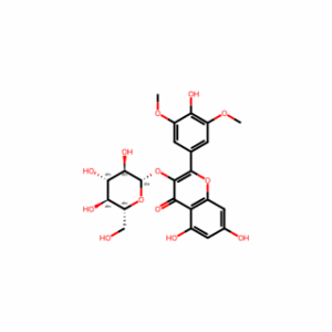 Syringetin-3-O-glucoside