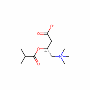 (3R)-3-(2-methylpropanoyloxy)-4-trimethylazaniumylbutanoate