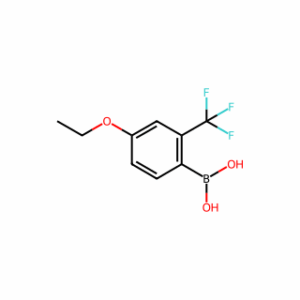 (4-Ethoxy-2-(trifluoromethyl)phenyl)boronic acid