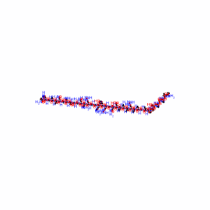 Urocortin II (mouse)