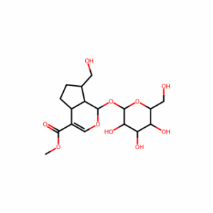 (1S)-1α-(β-D-Glucopyranosyloxy)-1,4aα,5,6,7,7aα-hexahydro-7α-(hydroxymethyl)cyclopenta[c]pyran-4α-carboxylic acid methyl ester