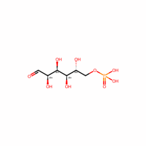 (2R,3R,4S,5R)-2,3,4,5-Tetrahydroxy-6-oxohexyl dihydrogen phosphate