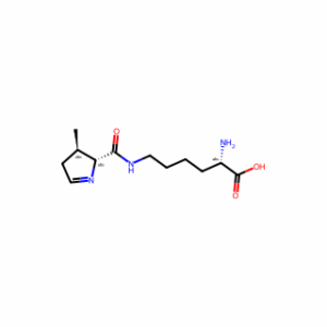L-Pyrrolysine