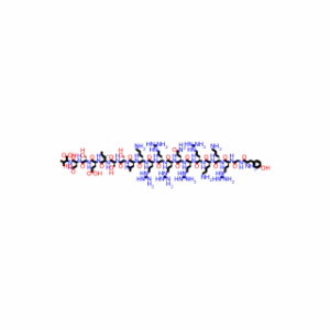 Tat-NR2B9c