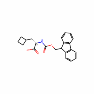 Fmoc-L-cyclobutylalanine