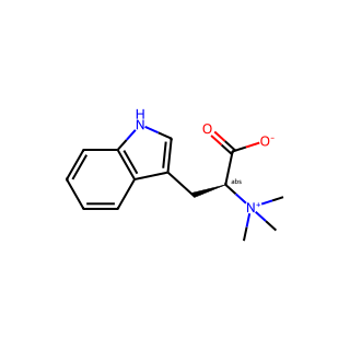 (+)-Hypaphorine