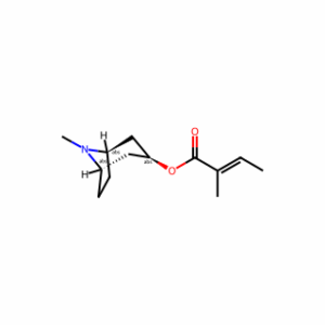Tigloidin