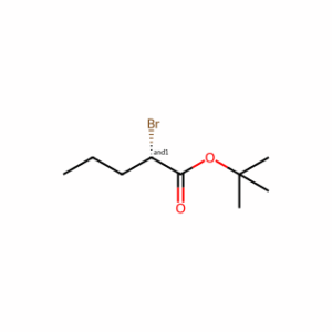 tert-Butyl 2-bromopentanoate