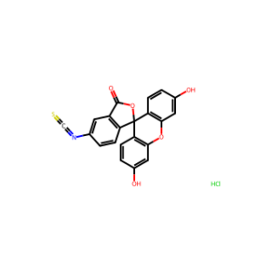 Fluorescein Isothiocyanate I Hydrochloride