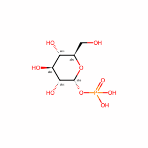 α-D-Glucose 1-phosphate