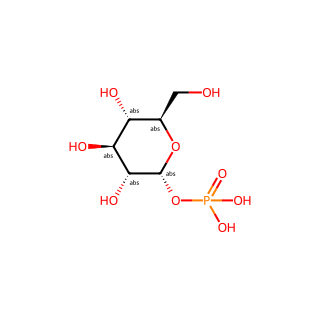 α-D-Glucose 1-phosphate