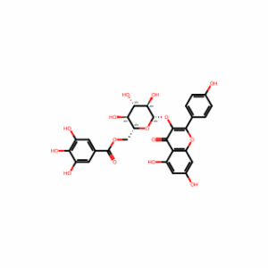 Kaempferol-3-O-(6′′-galloyl)-β-glucopyranoside