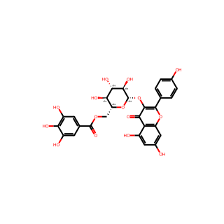 Kaempferol-3-O-(6′′-galloyl)-β-glucopyranoside