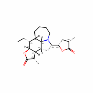 Tuberostemonine