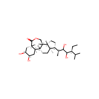 Homobrassinolide