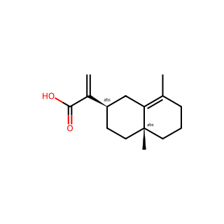 Isocostic acid
