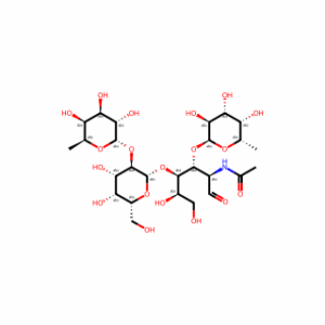 Lewis y Tetrasaccharide