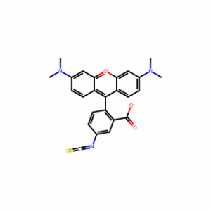 Tetramethylrhodamine-5-isothiocyanate