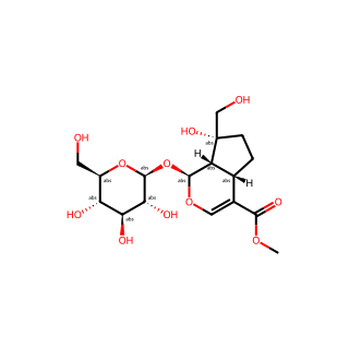 Splendoside