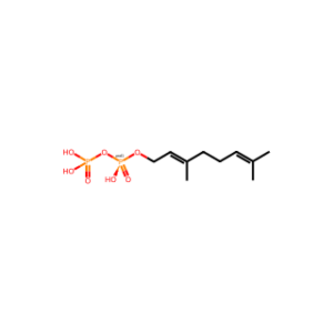 geranyl diphosphate