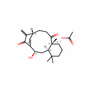 Kongensin A