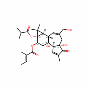 (1aR,1bS,4aR,7aS,7bS,8R,9R,9aS)-4a,7b-dihydroxy-3-(hydroxymethyl)-9a-(isobutyryloxy)-1,1,6,8-tetramethyl-5-oxo-1a,1b,4,4a,5,7a,7b,8,9,9a-decahydro-1H-cyclopropa[3,4]benzo[1,2-e]azulen-9-yl (E)-2-methylbut-2-enoate