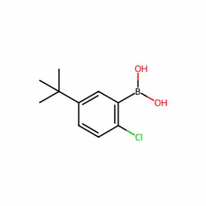(5-(tert-Butyl)-2-chlorophenyl)boronic acid